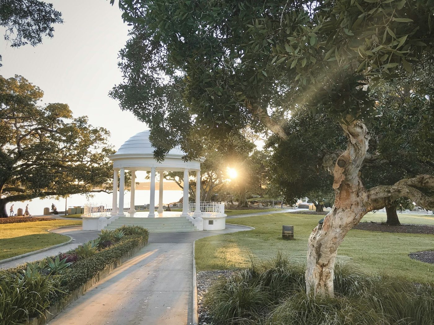 The white rotunda at Balmoral, framed by fig trees in early morning light